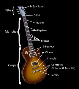 Anatomie Guitare